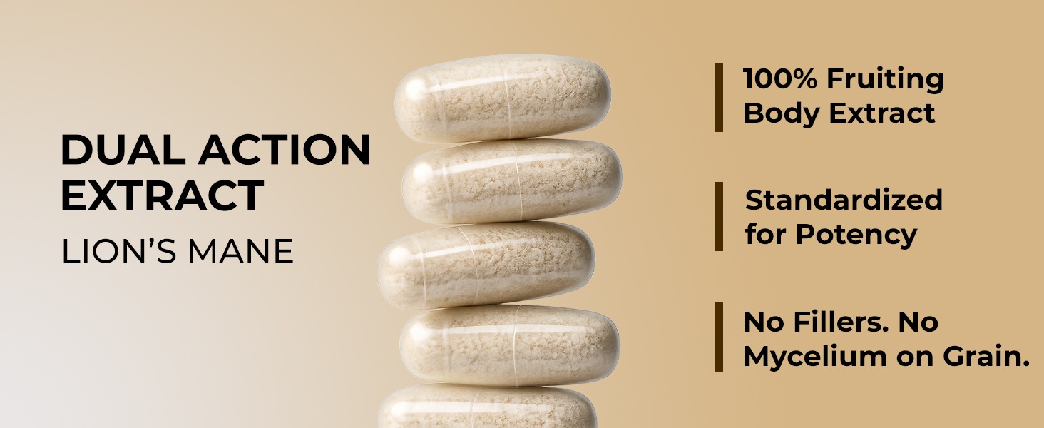 Rooted Active's Lion's Mane Mushroom for Brain Health Support - Mushroom Support for Focus & Memory Function - Immune & Nervous System Supplement | 60 Caps