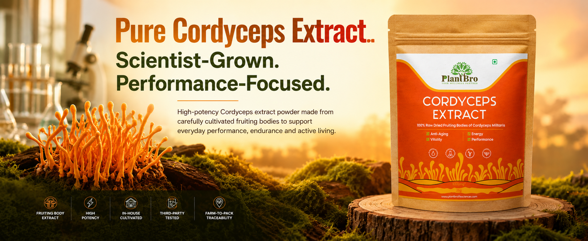 Cordyceps Mushroom Extract 25g | Natural Energy & Stamina Booster | Supports Immunity, Respiratory Health & Endurance | 100% Organic Cordyceps Militaris Powder Supplement - 25g