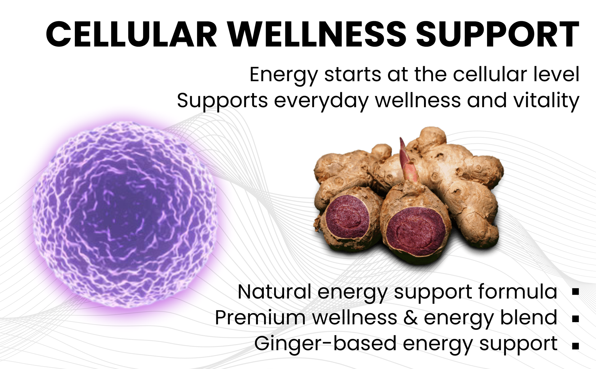 Black Ginger Capsules, 60 Veg Capsules Each, Improves Circulation, Boosts Energy with Powerful Antioxidants (Pack of 1)