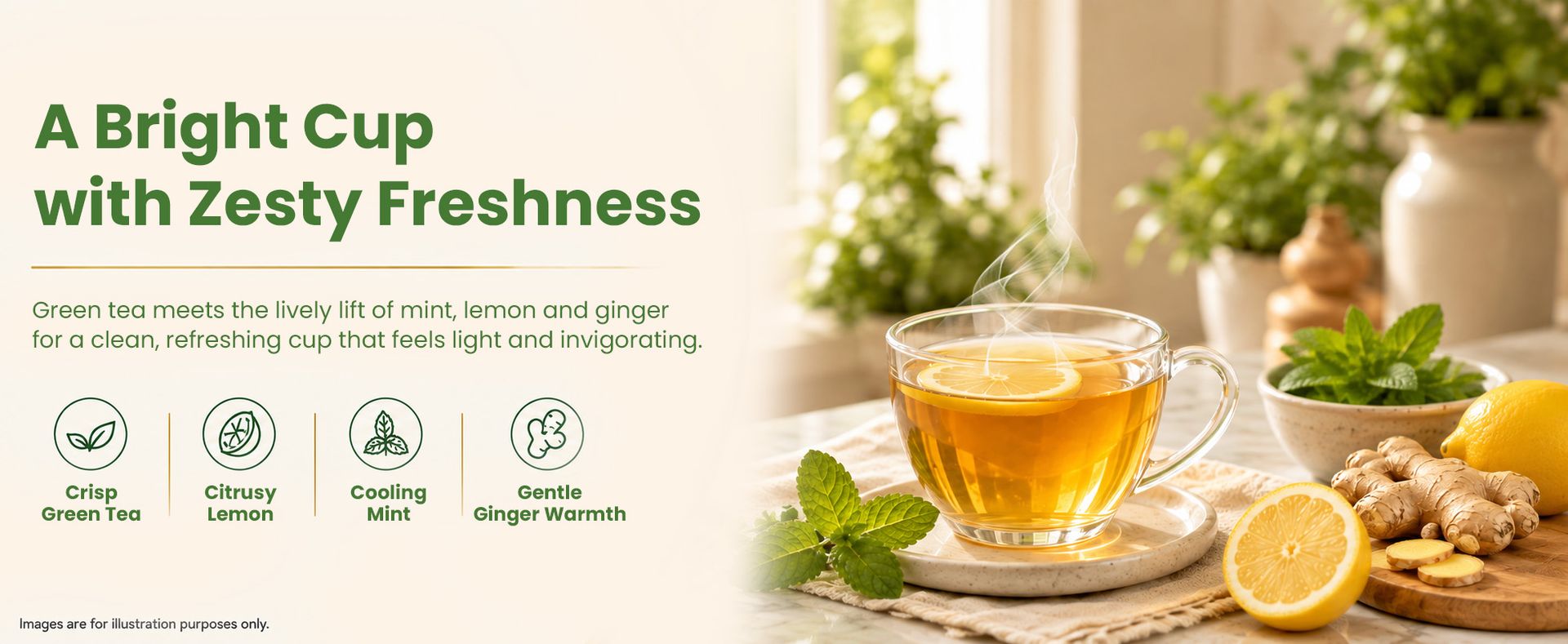 Celest Ginger Mint Lemon Green Tea 400 Tea Bags | Immunity Support | Refreshing & Energizing | Pack of 4