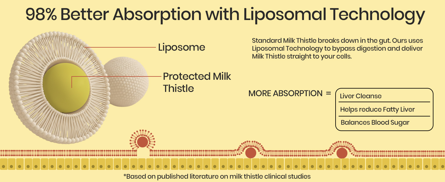Vlado’s Himalayan Organics Liposomal Liver Support with Milk Thistle 950mg | Curcumin, Ginger & Dandelion Extract | With Multivitamins & Amino Acids | 60 Veg Capsules