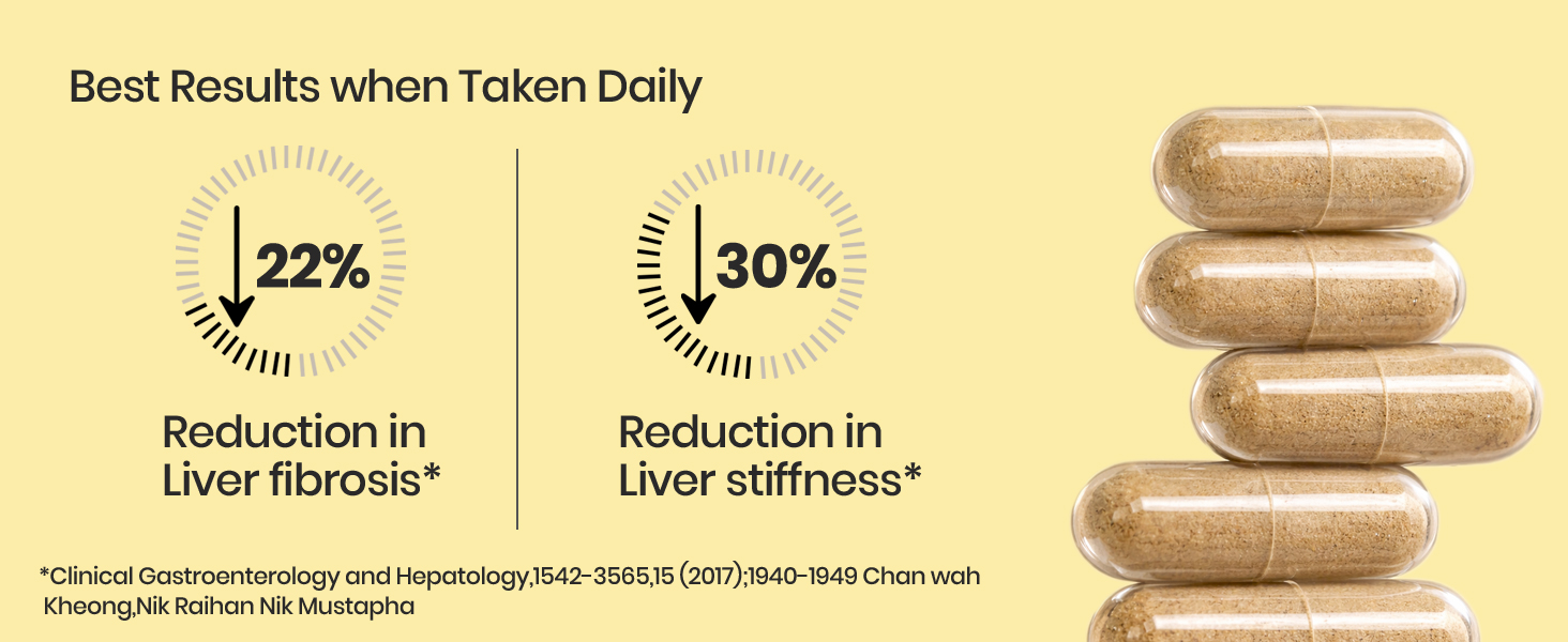 Vlado’s Himalayan Organics Liposomal Liver Support with Milk Thistle 950mg | Curcumin, Ginger & Dandelion Extract | With Multivitamins & Amino Acids | 60 Veg Capsules