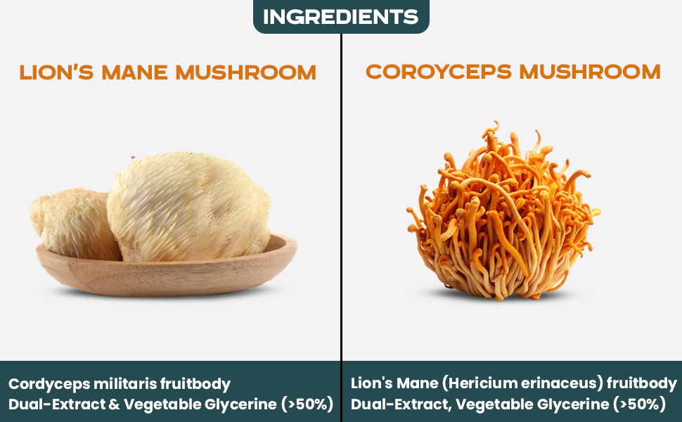 Nuvedo | Lions Mane Mushroom & Cordyceps Liquid Extract Combo | 2 Pack, 50ml Each | Fruiting Body 1:5 Dual Extract | Herbal Supplement | For Focus, Cognitive & Energy Support | As Seen on Shark Tank