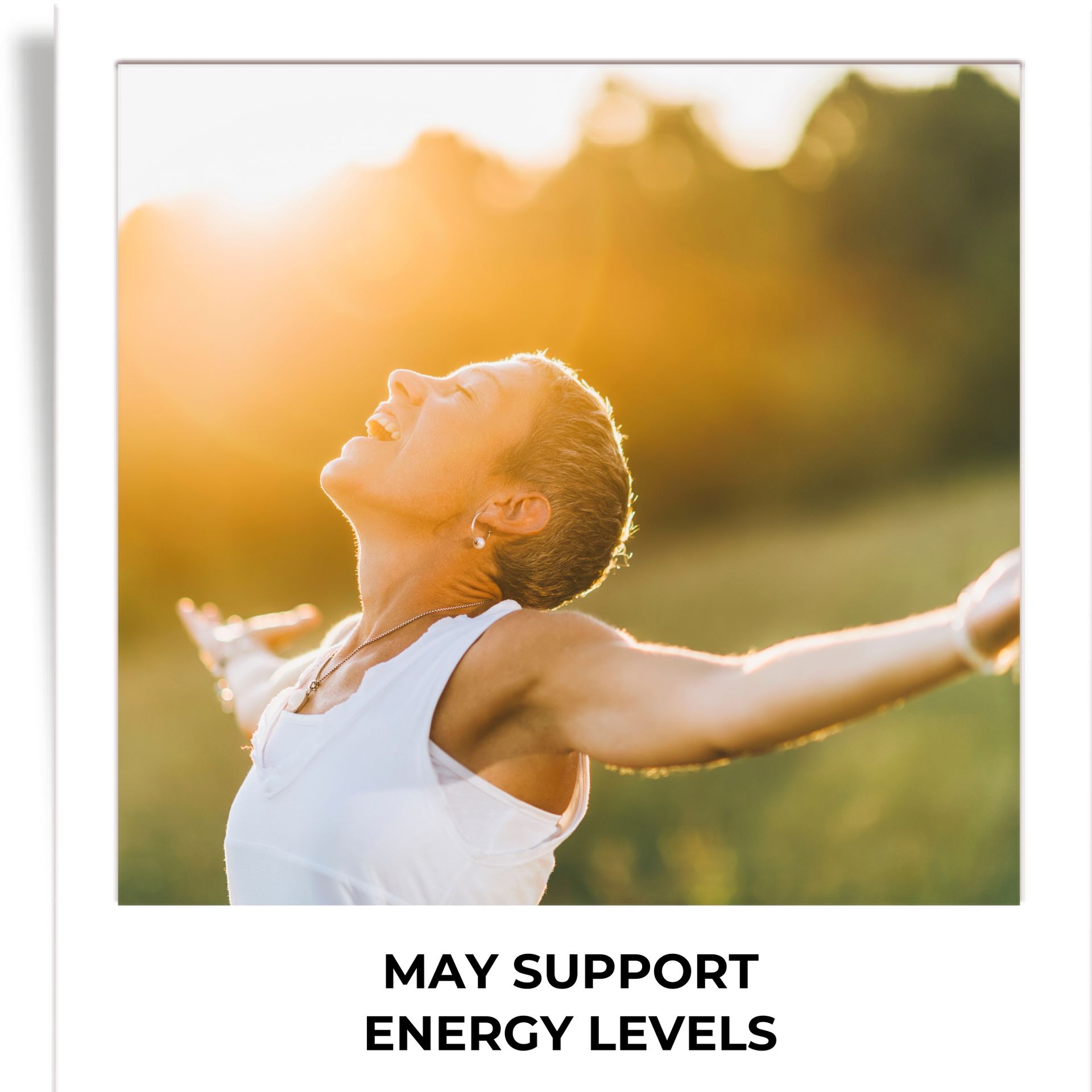 Humming Herbs Cordyceps sinensis Keeda Jadi supplement 8100mg with Reishi, Chaga, Enoki, Oyster & Maitake Mushroom Supports Lungs detox and Immune Support 7in1 Formula - 90 Cap
