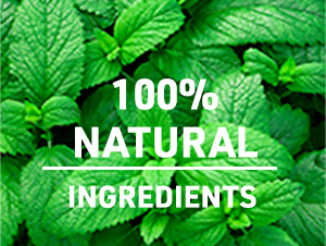 Teacurry Anti Alcohol Herbal Blend (3 Month Pack, 90 Bags) – Green Tea with Botanical Ingredients | Herbal Infusion