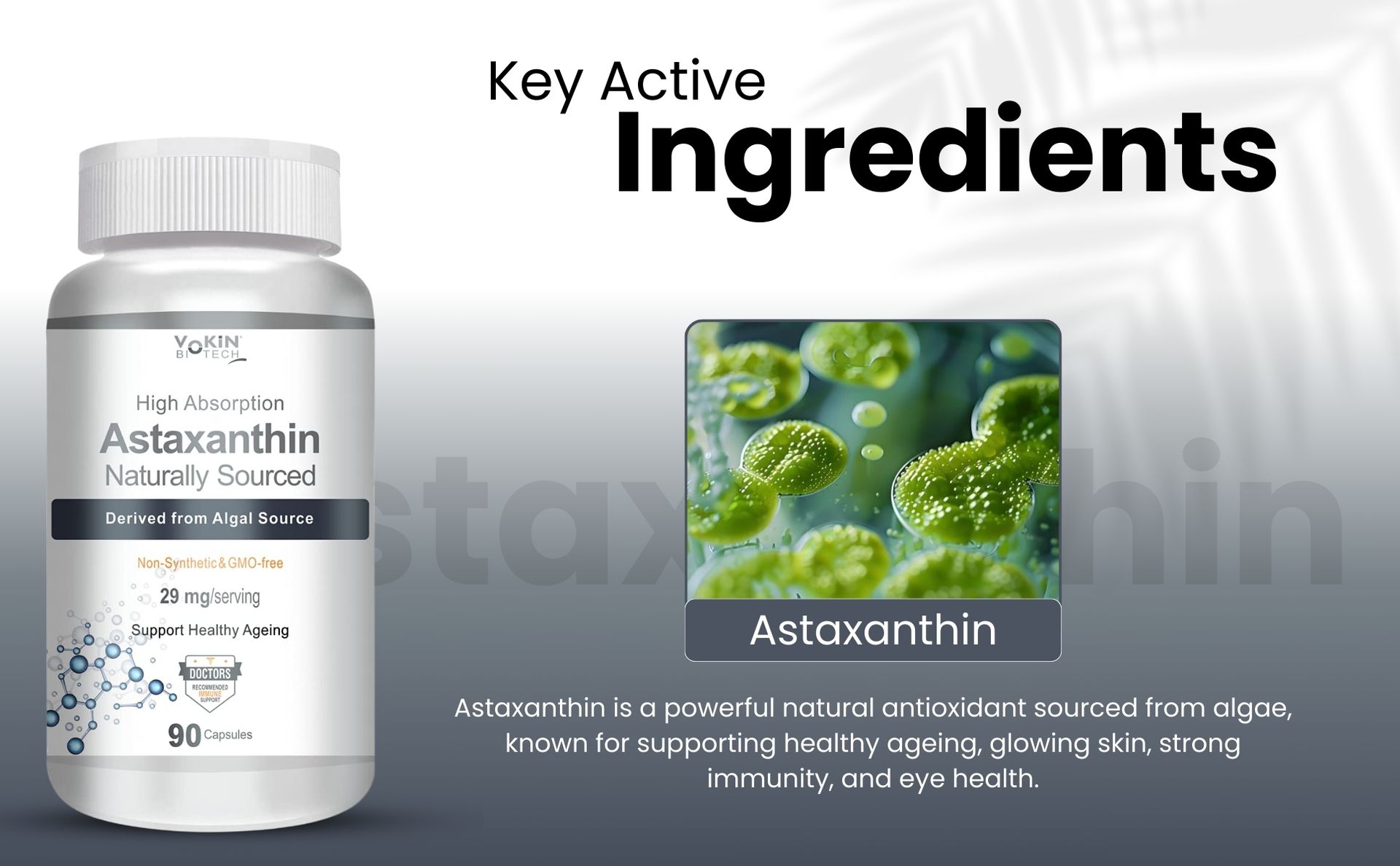 Vokin Biotech Astaxanthin 29mg - Naturally Sourced from Algae - Non-Synthetic - Best or Healthy Ageing - 90 Capsules