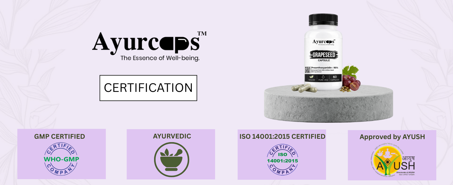 Grapeseed Capsule 500 mg 60 Capsule