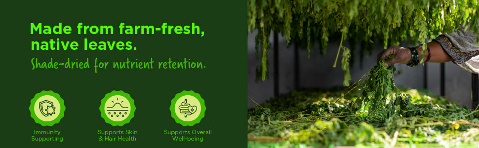 Two Brothers Organic Farms Moringa Powder | Rich in Nutrients | Contains essential vitamins and minerals | Naturally boosts energy and overall gut health | Chemical Free Lab - Tested 100 gms