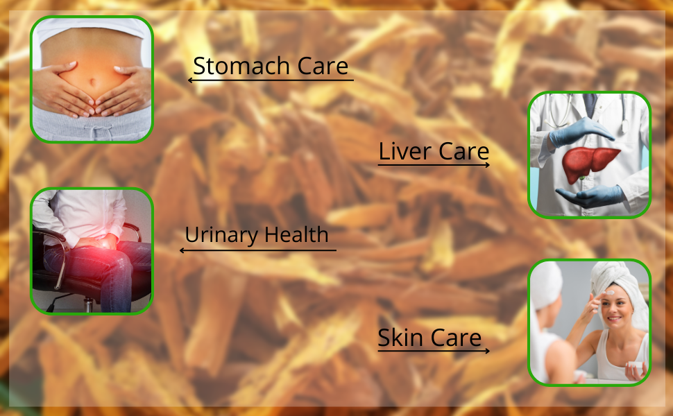 IndianJadiBooti Daru Haldi (Berberis Aristata) | 100g | Raw Tree Turmeric/Daruharidra | Natural Berberine Source for Skin Glow, Liver Health & Metabolic Wellness (Dried Bark)