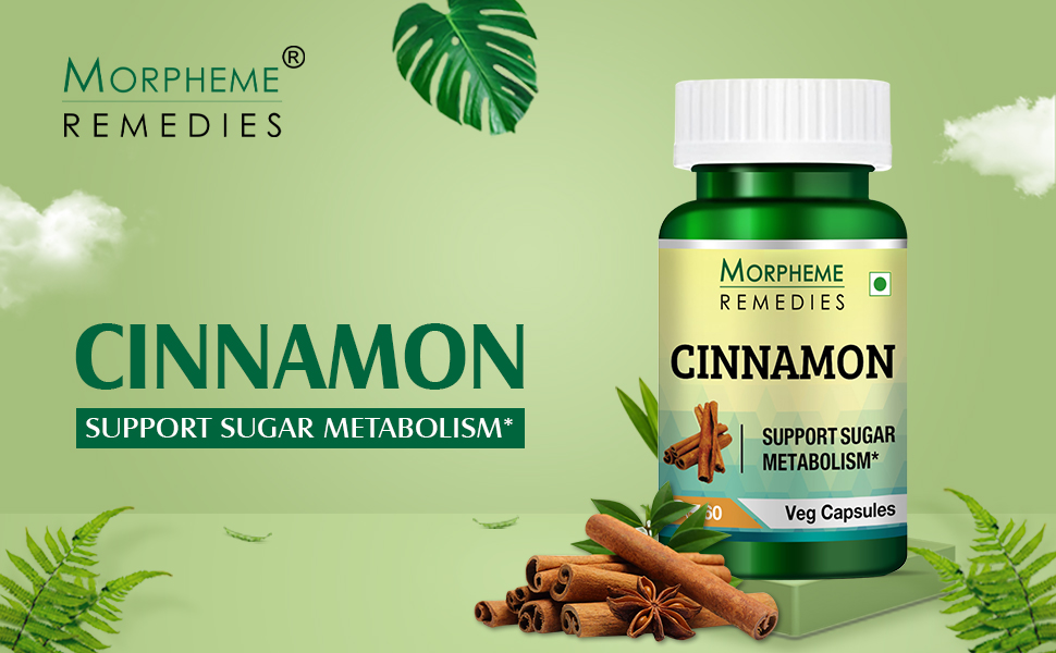 Morpheme Remedies Cinnamon Extract (500 mg, 60 Veg Capsules, 1 Bottle)