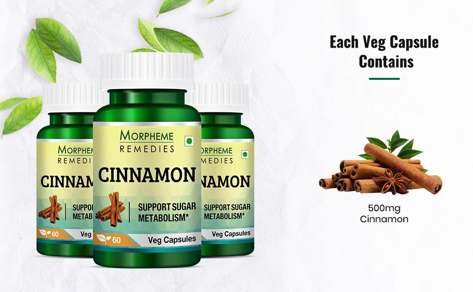 Morpheme Remedies Cinnamon Extract (500 mg, 60 Veg Capsules, 1 Bottle)