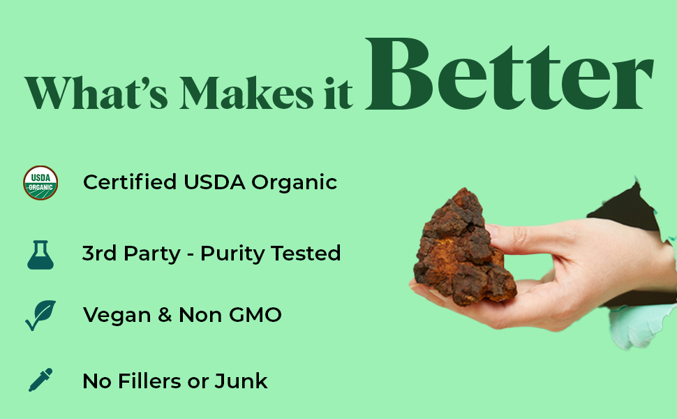 Rooted Actives Siberian Chaga Mushroom Capsules (45 Gm) | Blood Sugar, Heart & Immunity | 35% Beta Glucans | Certified Organic Siberian