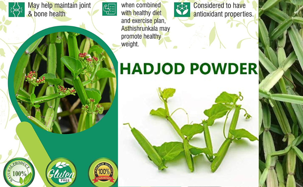 Herbal Hills Asthishrunkala Powder cissus quadrangularis powder - 1 Kg