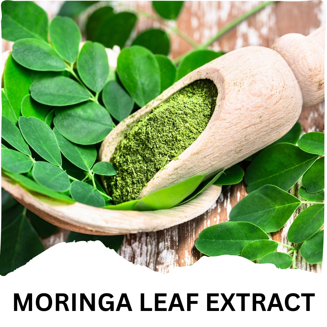 Humming Herbs Moringa with Resveratrol, Astaxanthin, Glutathione, Vitamin C & Folic Acid | 996mg 6-in-1 Immune & Antioxidant Support | 120 Capsules | 60 Days Supply | Herbal Supplement