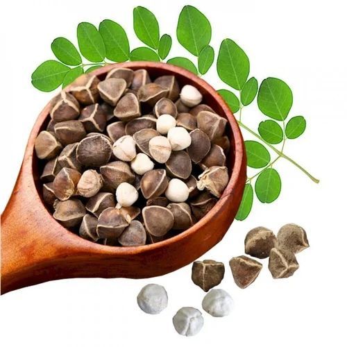 DIETS ORGANICS Murungai keerai seeds -200 /| Natural Moringa seeds/Moringa seeds/DRUMSTICK seeds raw -200Gms pack of 1