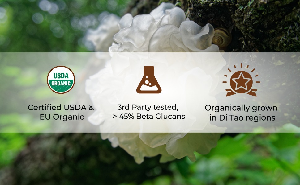 Rooted Actives Tremella Mushroom Extract (45 g) |Beauty, Skin Glow, Collagen booster, Hyalyronic acid, Hydration| 45% Beta Glucans