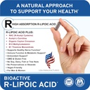 high-absorpion-r-lipoic-acid---supports--6.jpg