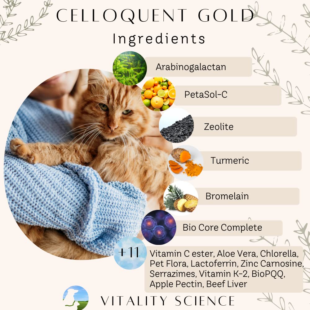 vitality-science-celloquent-gold-for-dog-3.jpg