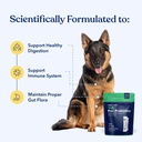 honest-paws-probiotics-for-dogs-digestiv-2.jpg