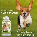 amazing-probiotics-for-dogs-eliminates-d-4.jpg