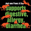 army-soldier-owned-dog-probiotics-for-ye-3.jpg