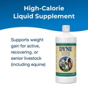 petag-dyne-high-calorie-liquid-nutrition-2.jpg