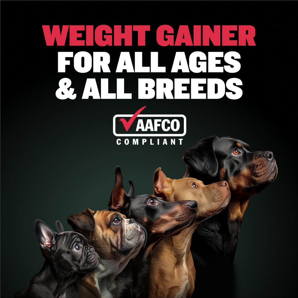 bully-max-liquid-weight-gainer-for-dogs--3.jpg