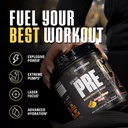 nutrabio-stim-free-pre-workout-for-men-n-6.jpg