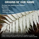 silver-fern-sensitive-gut-fiber-suppleme-6.jpg