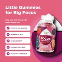 phytoral-vegan-kids-focus-gummies---pote-5.jpg