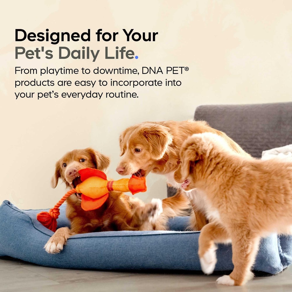 dna-pet-liquid-glucosamine-for-dogs-gluc-6.jpg