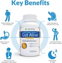 gut-alive---all-natural-support-to-fight-3.jpg