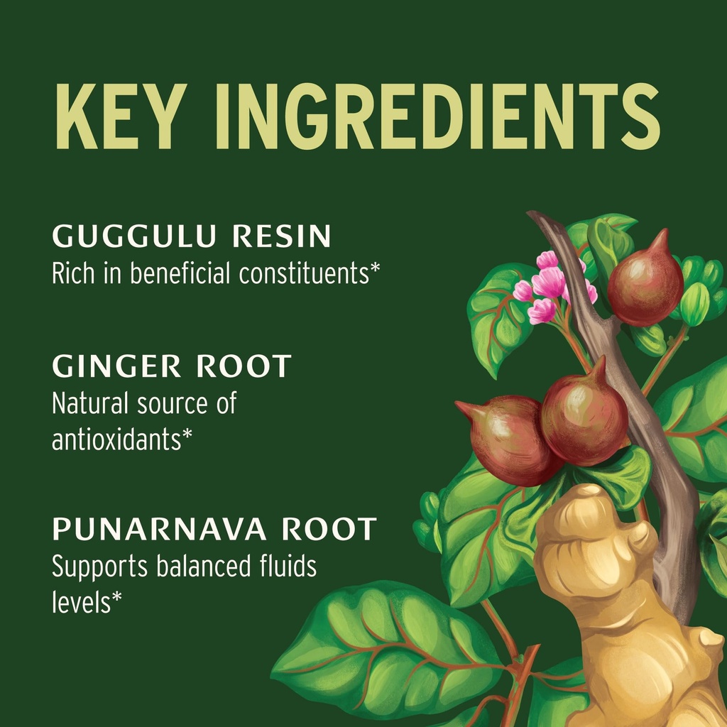 banyan-botanicals-organic-punarnavadi-gu-2.jpg