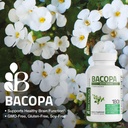 bronson-bacopa-supports-healthy-brain-fu-3.jpg
