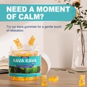 nextdia-fiber-kava-gummies-6.jpg