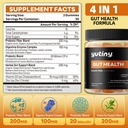 prebiotics-probiotics-digestive-enzymes--2.jpg