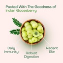 just-jaivik-organic-amla-tablets-a-dieta-4.jpg