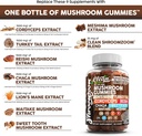 15in1-mushroom-gummies-with-lions-mane-t-3.jpg