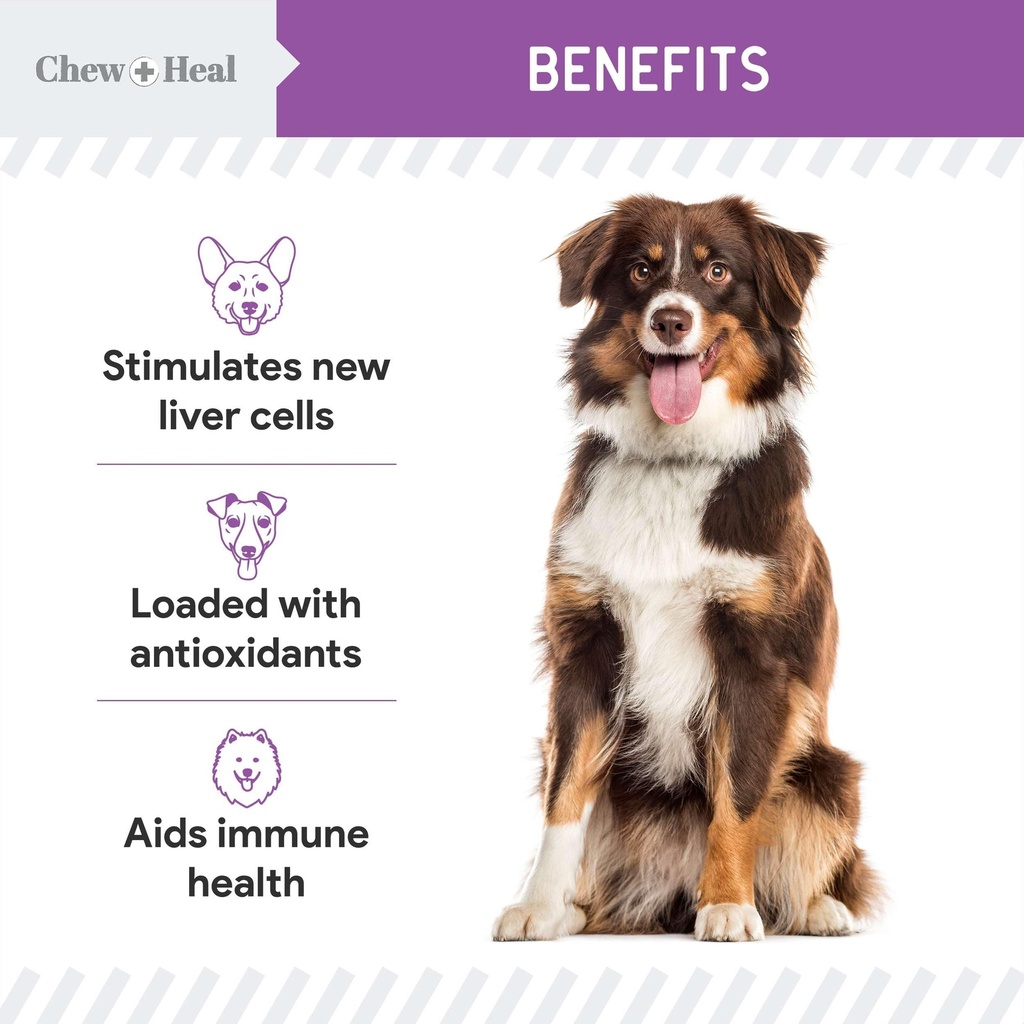 milk-thistle-for-dogs-liver-support-2-oz-4.jpg