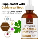 goldenseal-root-extract-3000mg-for-immun-6.jpg