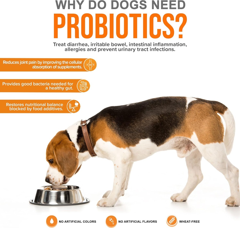pet-probiotics-for-dogs-supplement---sup-2.jpg