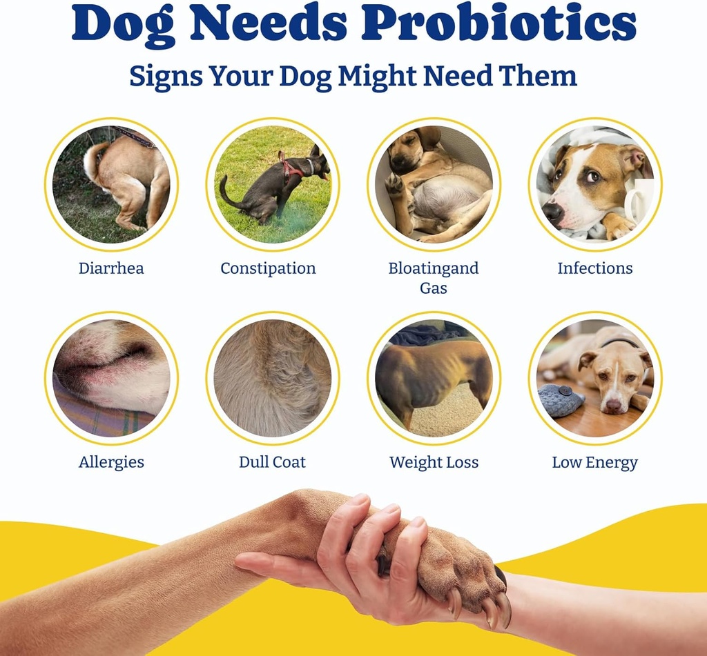 probiotics-for-dogs---dog-probiotics-for-6.jpg
