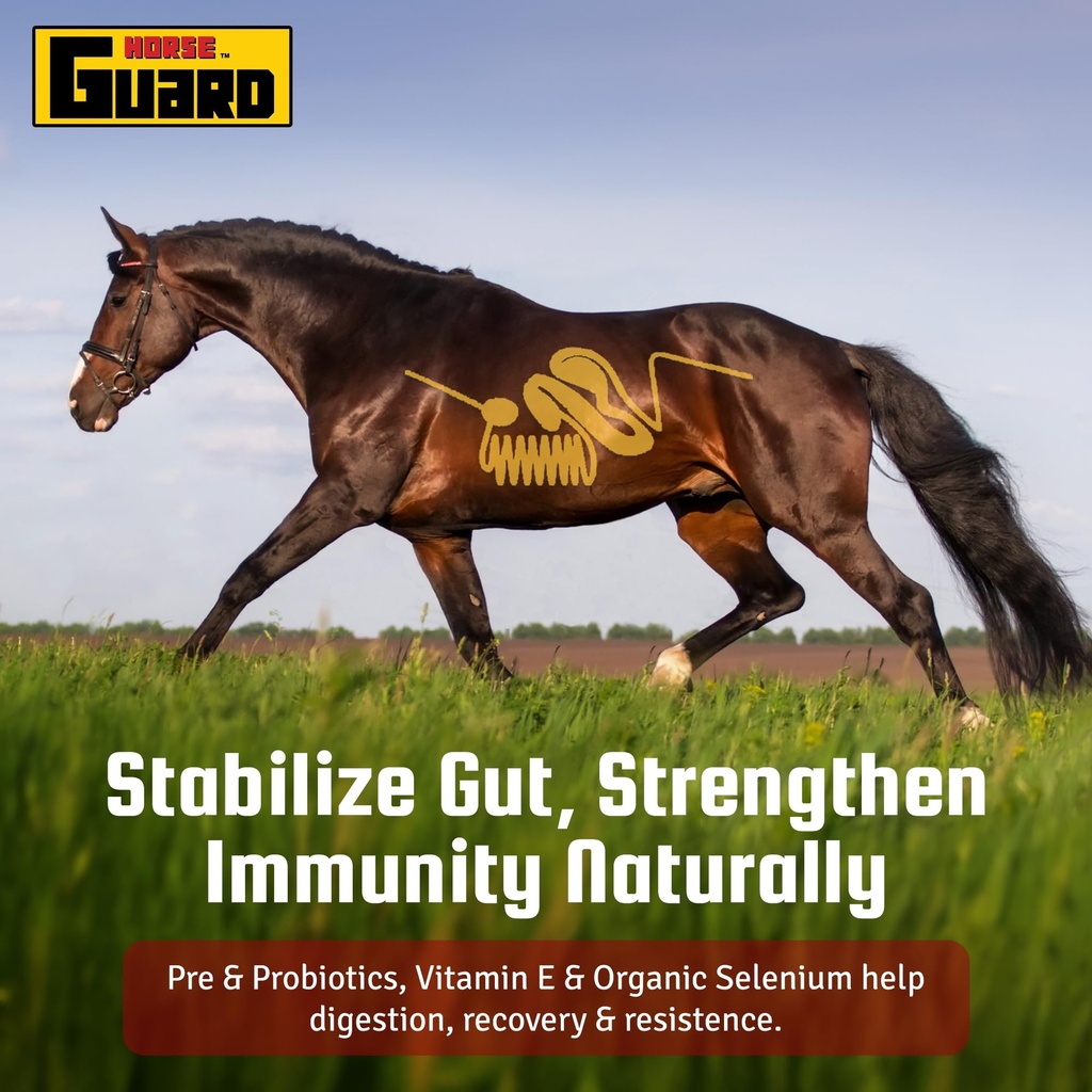 horse-guard-super-weight-gain-10-lb-3-in-6.jpg