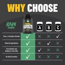 no-bull-l-carnitine-supplement-pure-keto-6.jpg