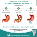 gut-heal-h-pylori-probiotic-powder-with--5.jpg
