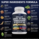 shilajit-supplement-with-sea-moss-ashwag-2.jpg