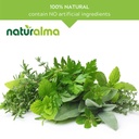 naturalma-milk-thistle-silybum-marianum--4.jpg