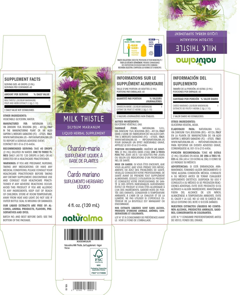 naturalma-milk-thistle-silybum-marianum--2.jpg