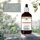 valerian-valeriana-officinalis-dry-root--5.jpg