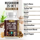 mushroom-supplement-with-lions-mane-turk-3.jpg